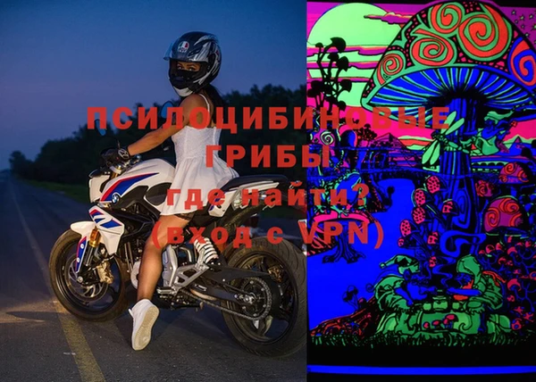 бошки Ельня