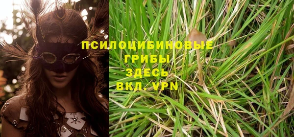 spice Елизово