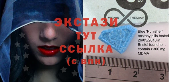 соль ск Тайга