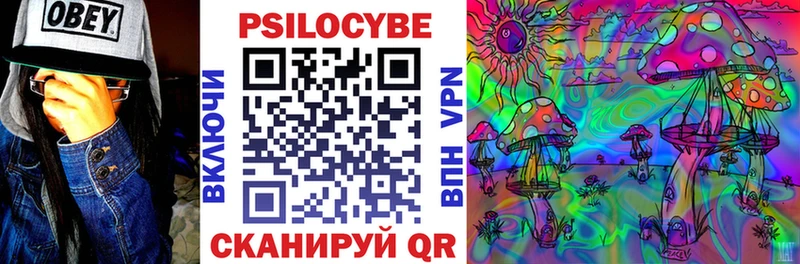 Псилоцибиновые грибы прущие грибы  где продают наркотики  Сыктывкар 